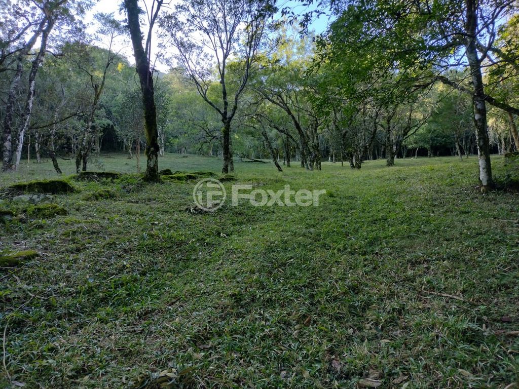 sitio chachara fazenda para comprar em B, 230 - foto 20