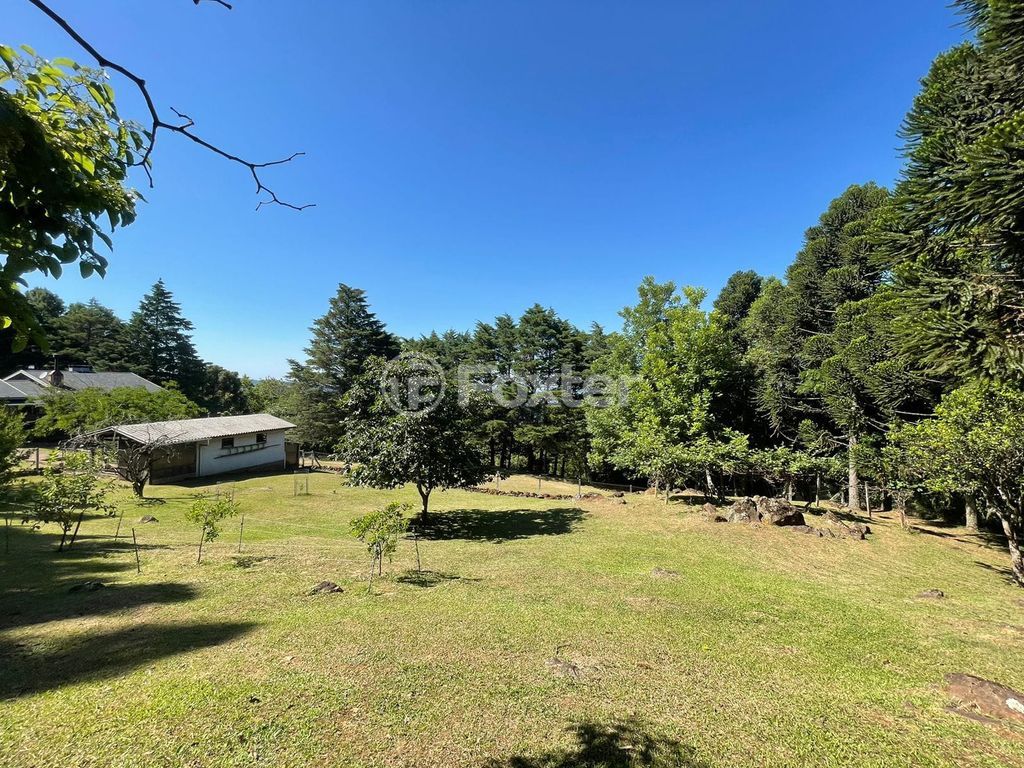 sitio chachara fazenda para comprar em B, 230 - foto 29