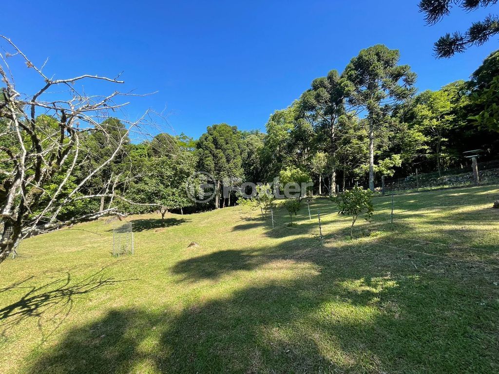 sitio chachara fazenda para comprar em B, 230 - foto 32