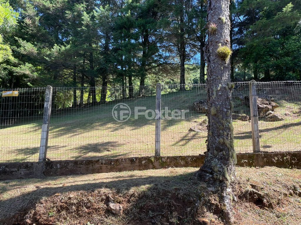 sitio chachara fazenda para comprar em B, 230 - foto 35
