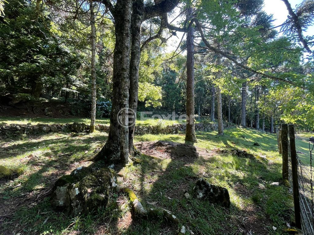 sitio chachara fazenda para comprar em B, 230 - foto 34