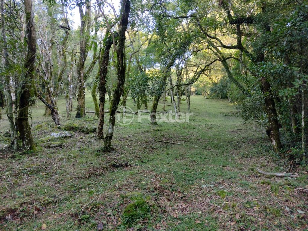 sitio chachara fazenda para comprar em B, 230 - foto 19