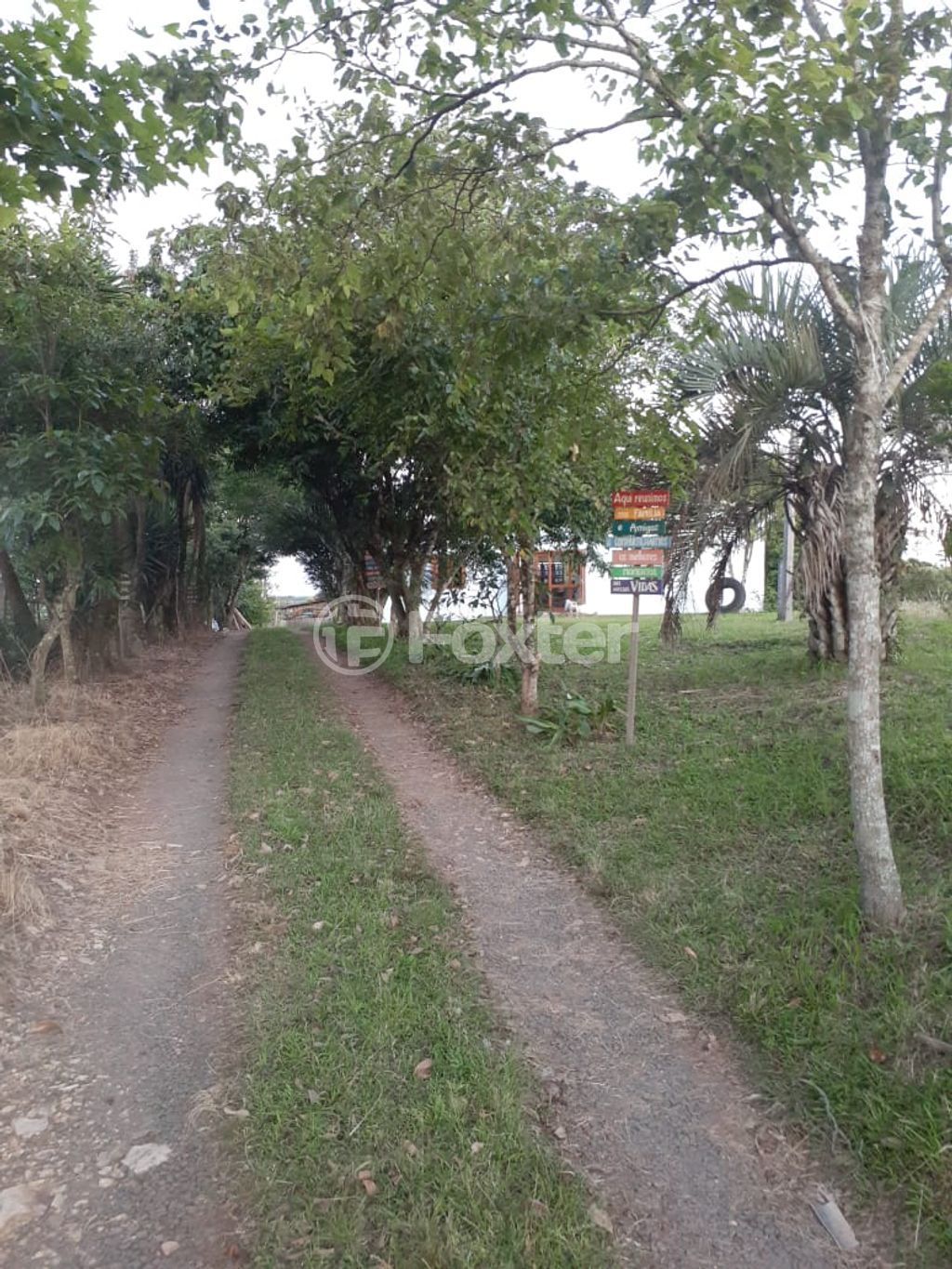 sitio chachara fazenda para comprar em Amaral Ferrador, 5100 - foto 21