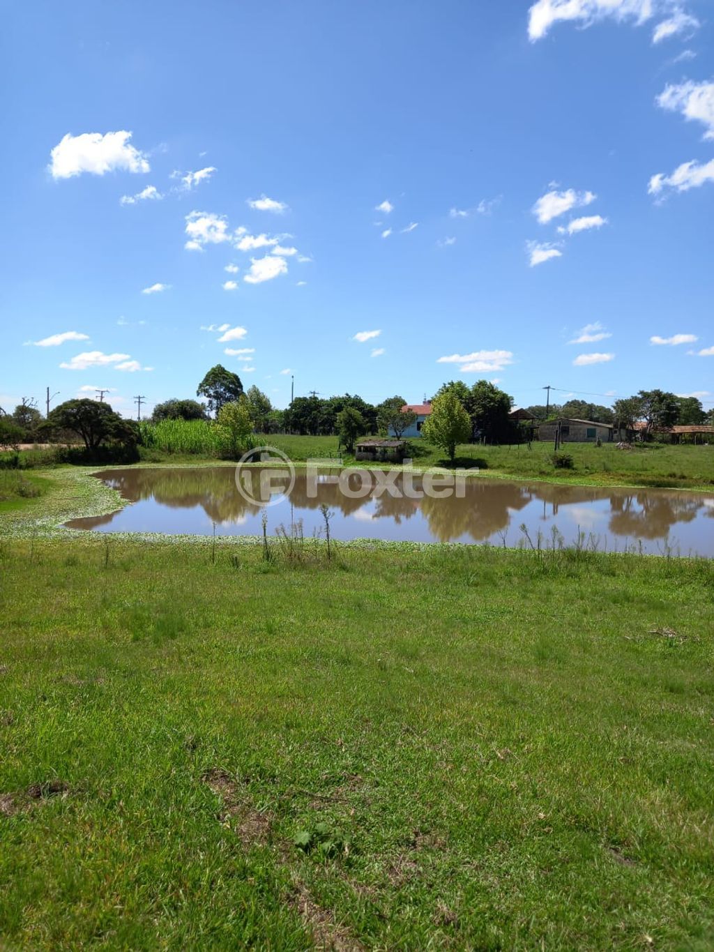 sitio chachara fazenda para comprar em Amaral Ferrador, 5100 - foto 7