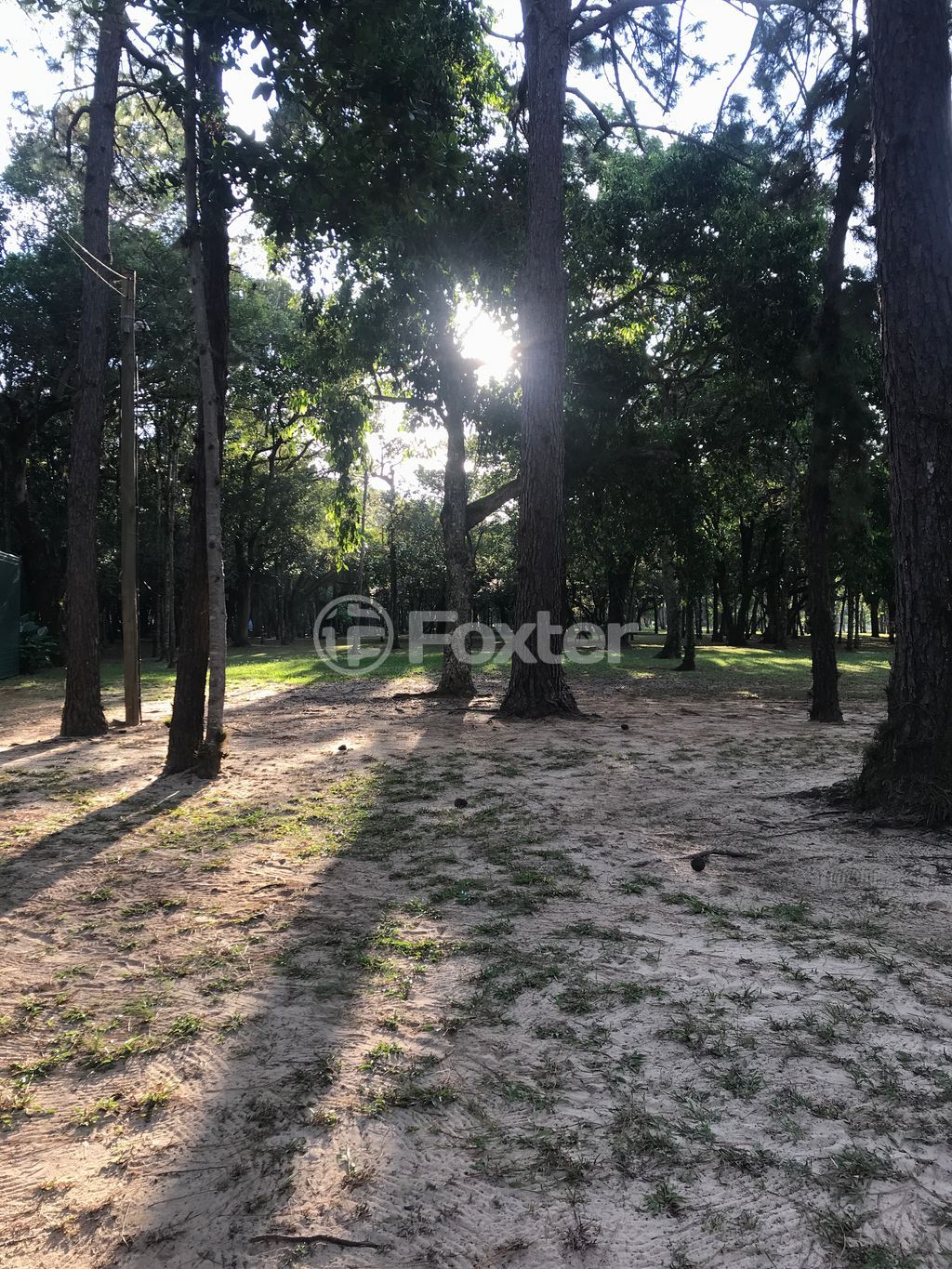 Casa em condominio para comprar em dos Pinheiros, 215 - foto 36