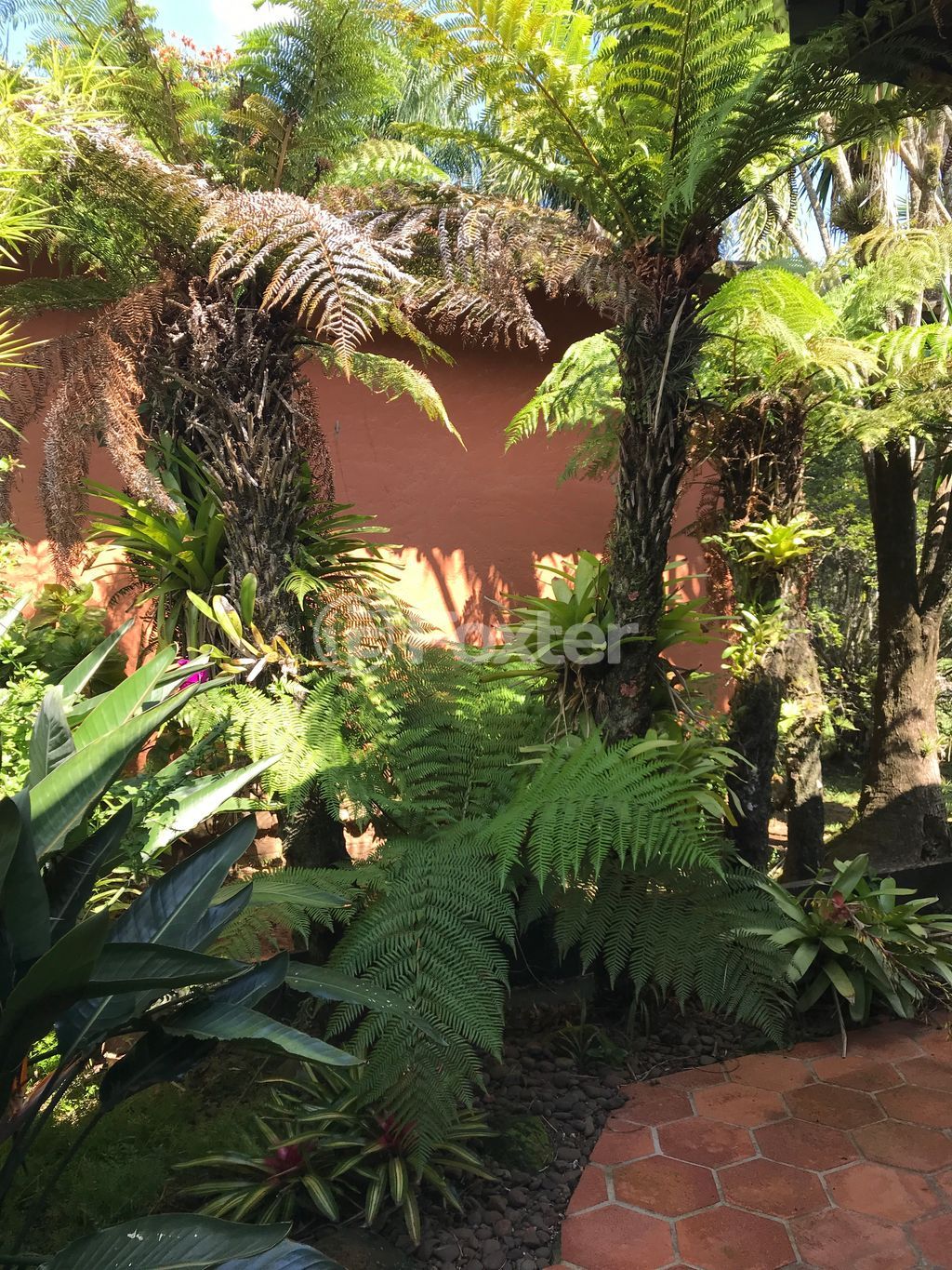 Casa em condominio para comprar em dos Pinheiros, 215 - foto 37