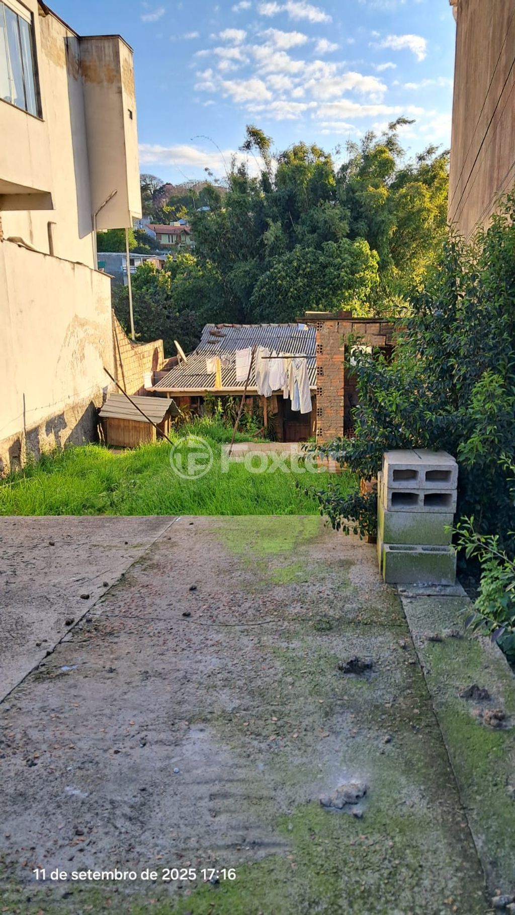 Foto 3