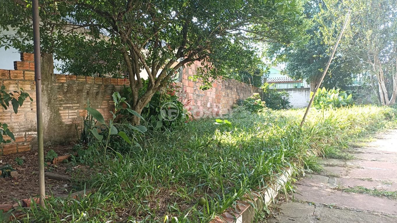 terreno lote condominio para comprar em Borba Gato, 292 - foto 8