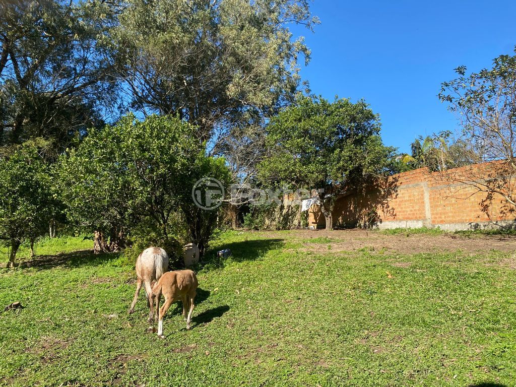 terreno lote condominio para comprar em do Armando, 650 - foto 5