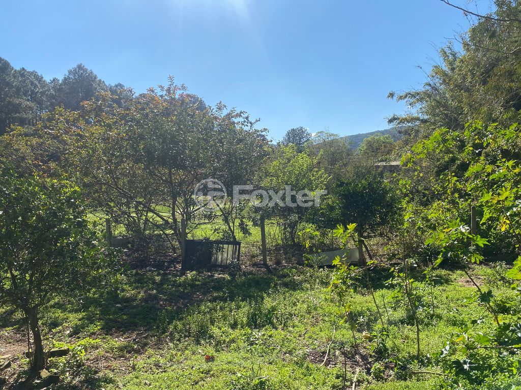 terreno lote condominio para comprar em do Armando, 650 - foto 6
