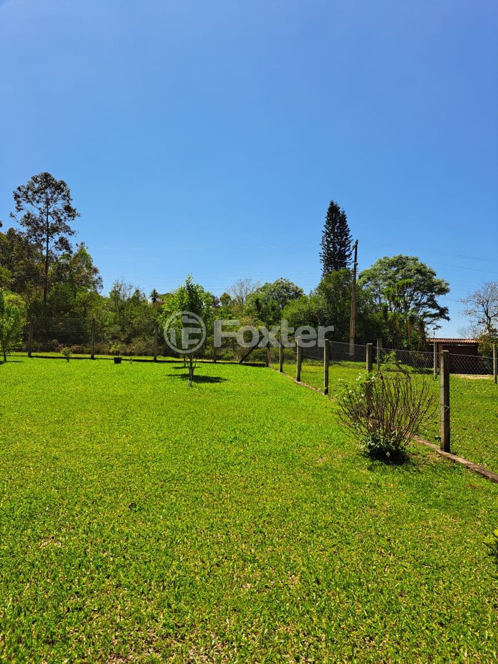 Casa em condominio para comprar em da Sinceridade, 525 - foto 30