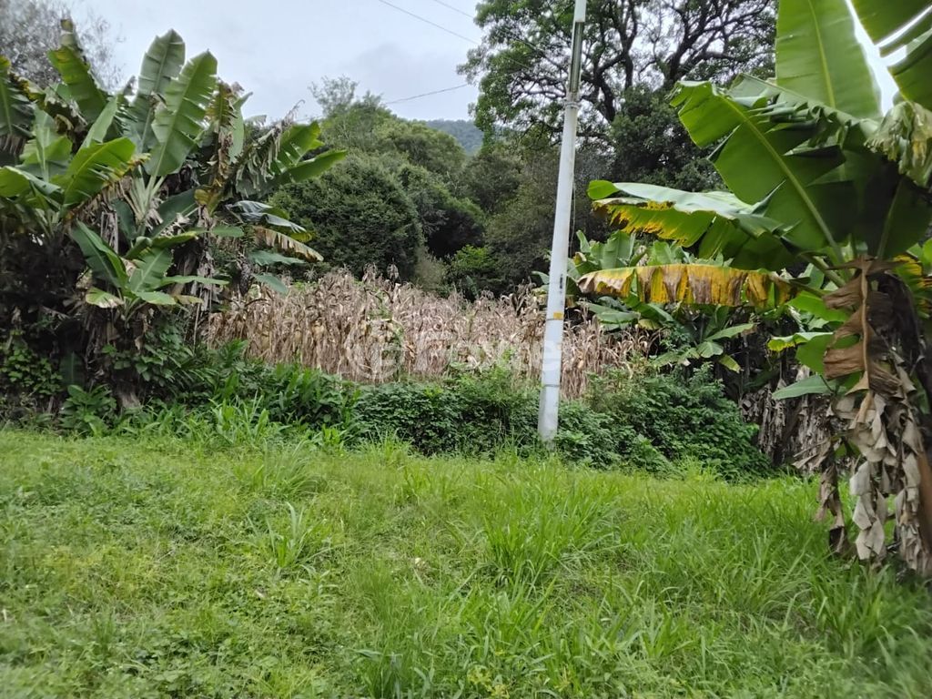sitio chachara fazenda para comprar em Do Chuvisqueiro, 200 - foto 18