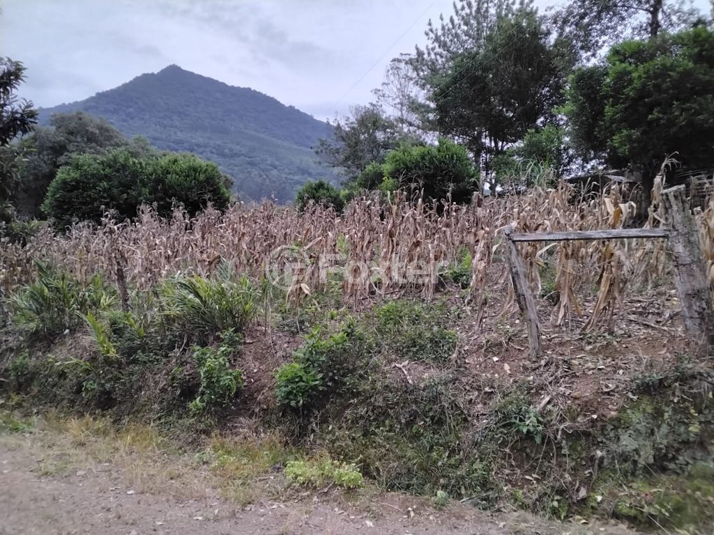 sitio chachara fazenda para comprar em Do Chuvisqueiro, 200 - foto 19