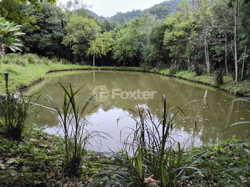sitio chachara fazenda para comprar em Do Chuvisqueiro, 200 - foto 17