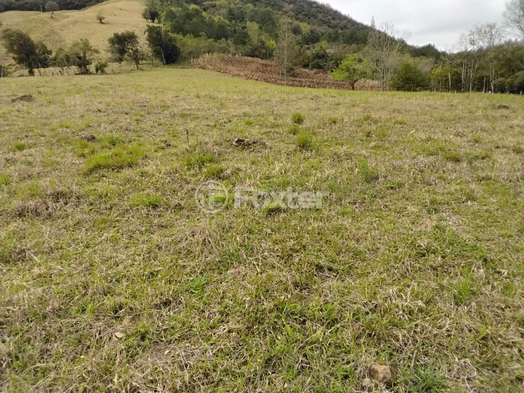 sitio chachara fazenda para comprar em Do Chuvisqueiro, 200 - foto 21