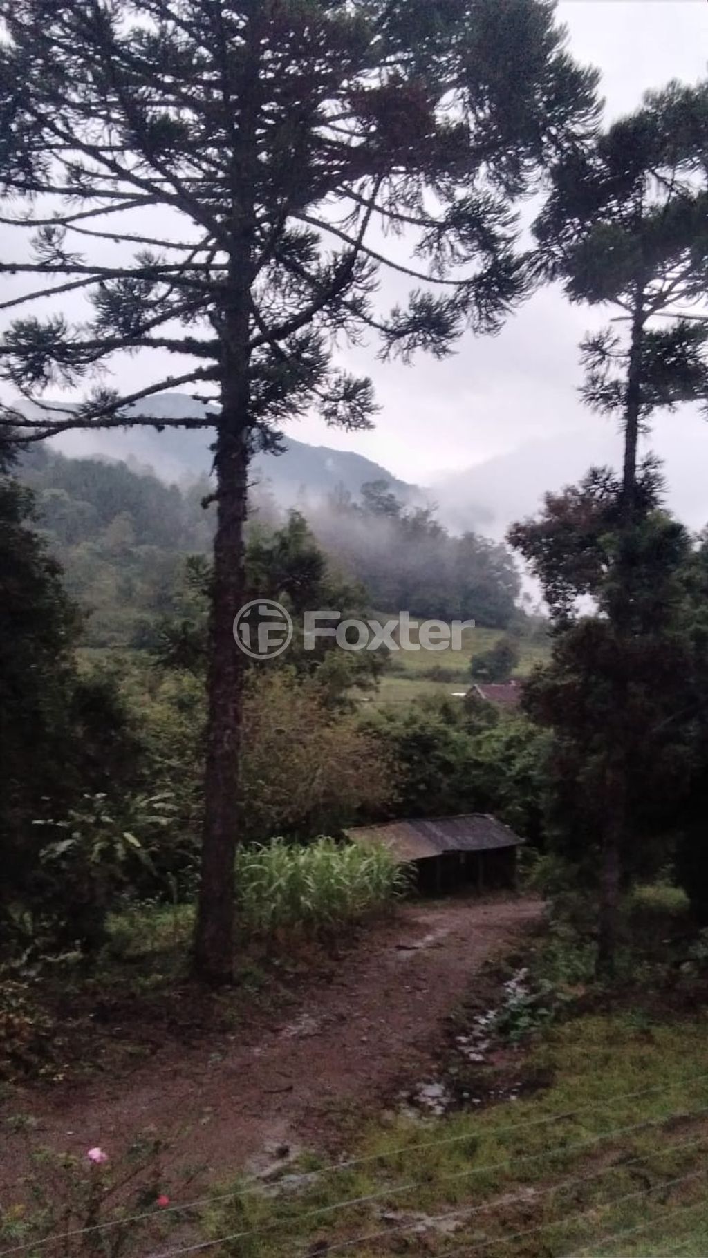 sitio chachara fazenda para comprar em Do Chuvisqueiro, 200 - foto 7