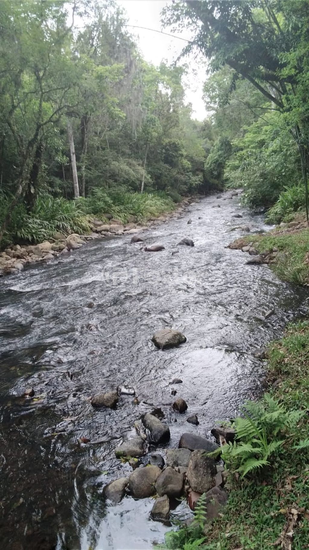 sitio chachara fazenda para comprar em Do Chuvisqueiro, 200 - foto 13