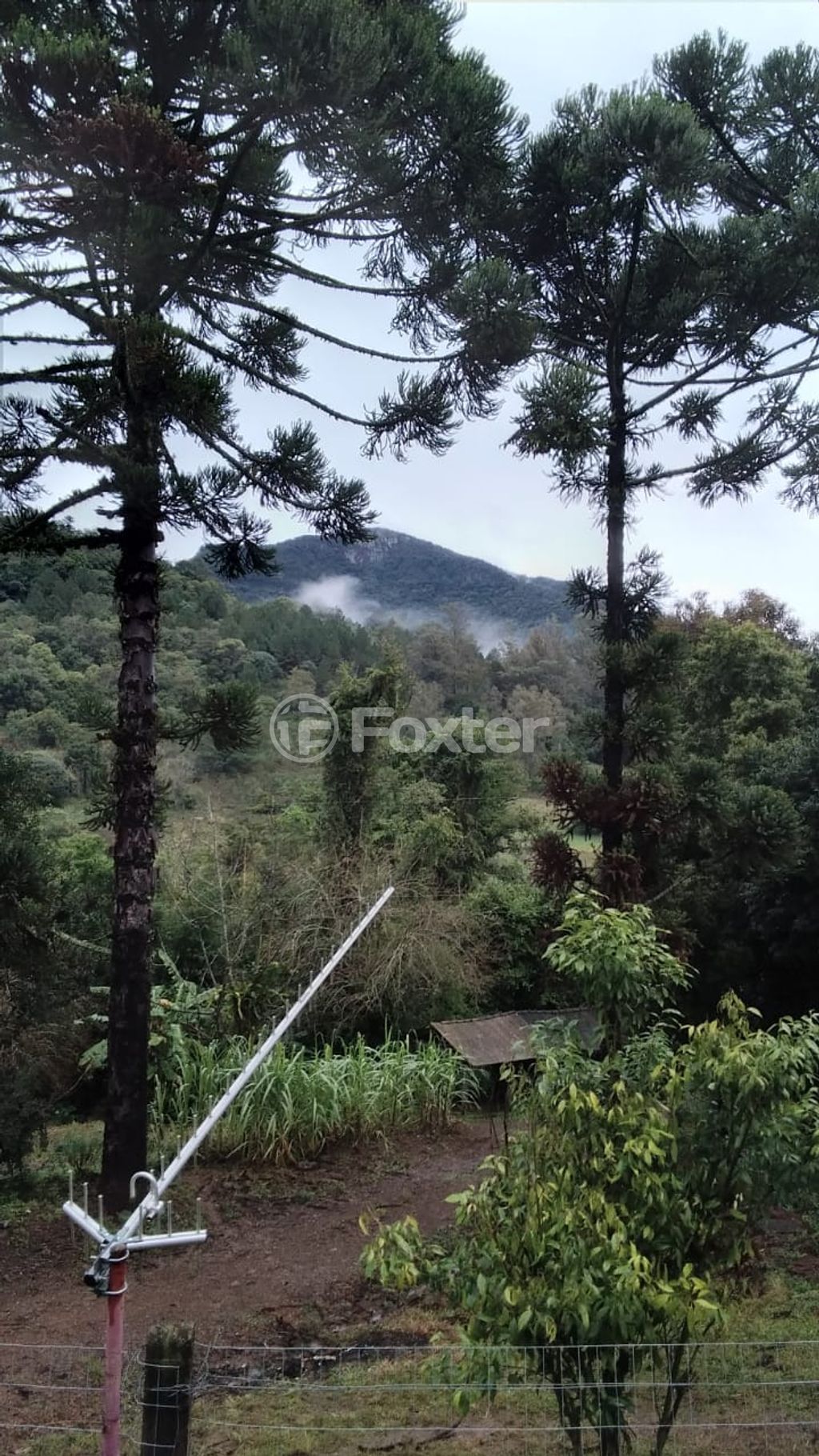 sitio chachara fazenda para comprar em Do Chuvisqueiro, 200 - foto 8