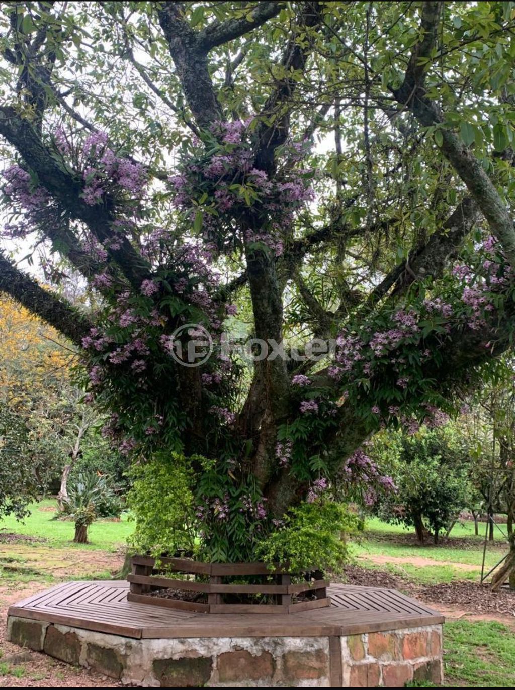 sitio chachara fazenda para comprar em dos Ipês, 676 - foto 8