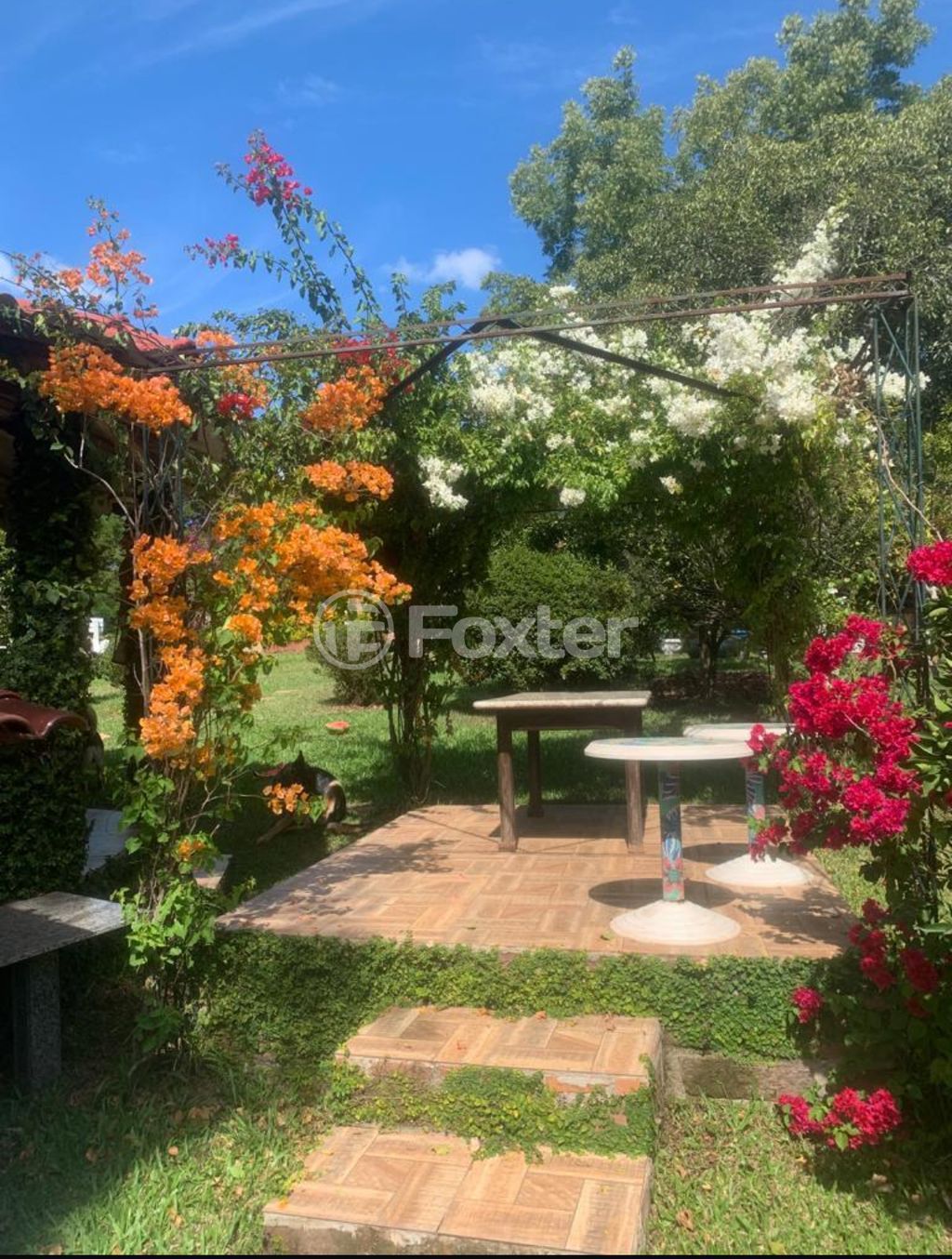sitio chachara fazenda para comprar em dos Ipês, 676 - foto 16