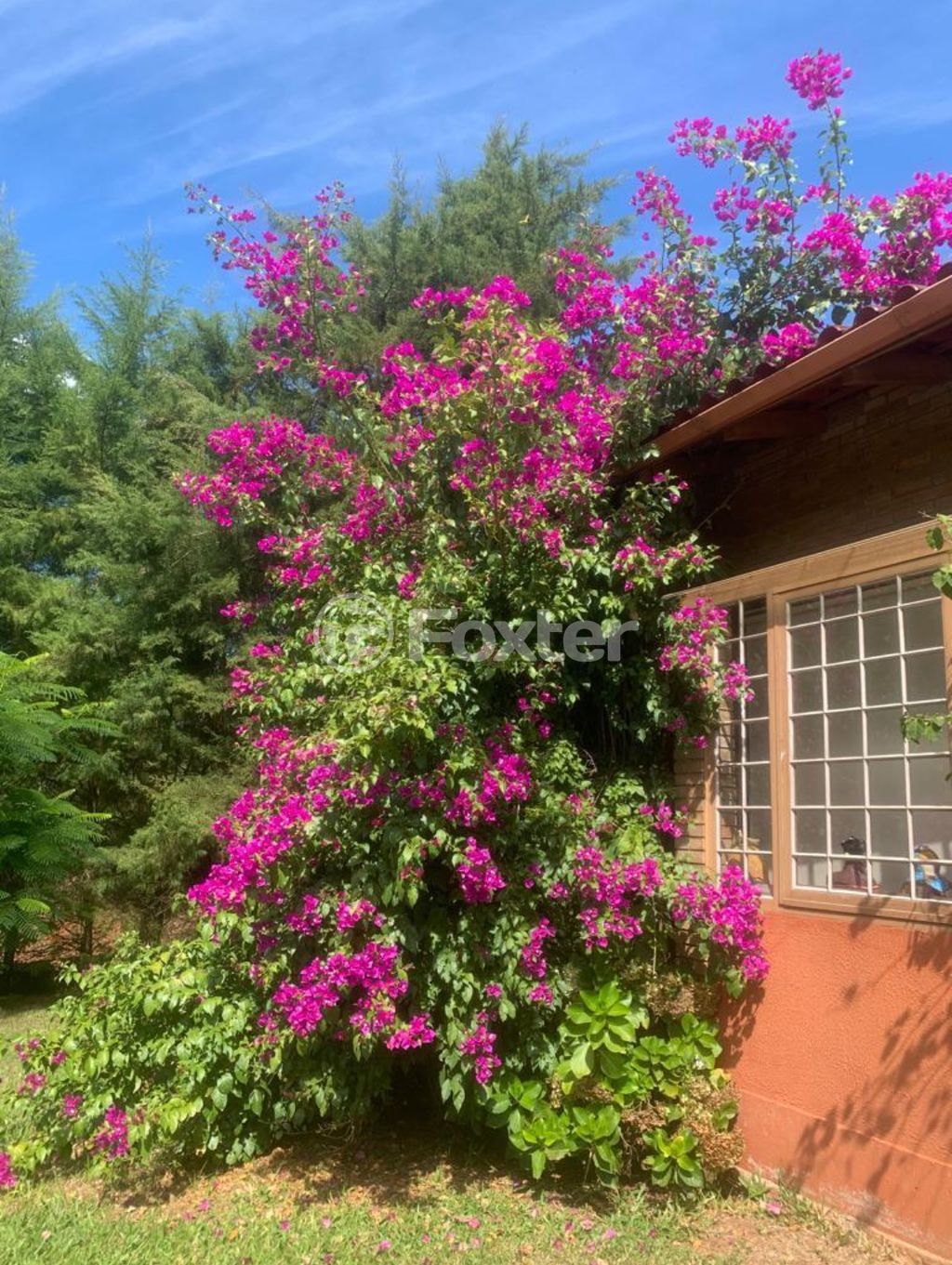 sitio chachara fazenda para comprar em dos Ipês, 676 - foto 13