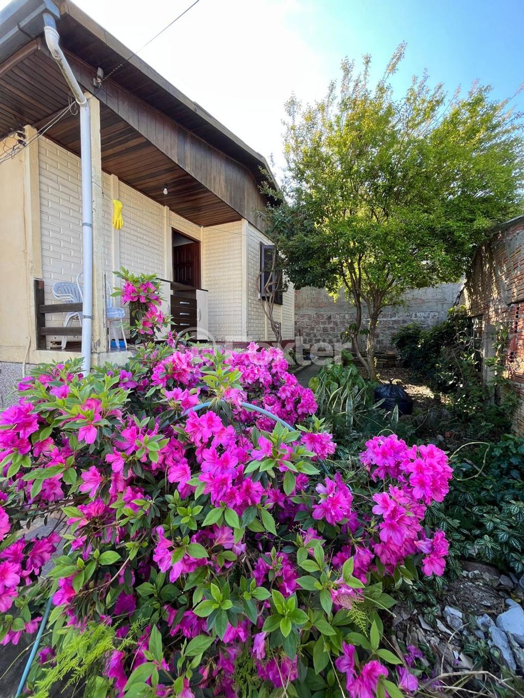 casa sobrado para comprar em Professor Clemente Pinto, 863 - foto 23