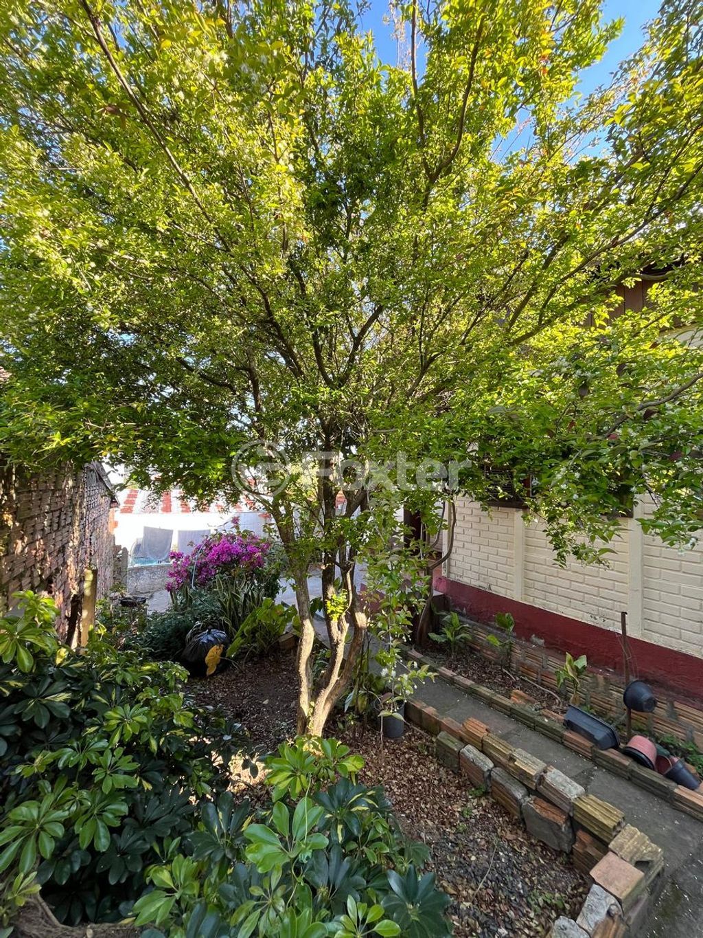 casa sobrado para comprar em Professor Clemente Pinto, 863 - foto 24
