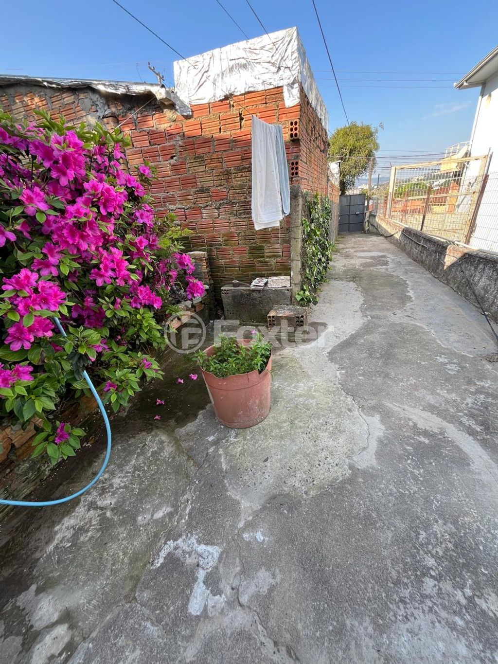 casa sobrado para comprar em Professor Clemente Pinto, 863 - foto 15