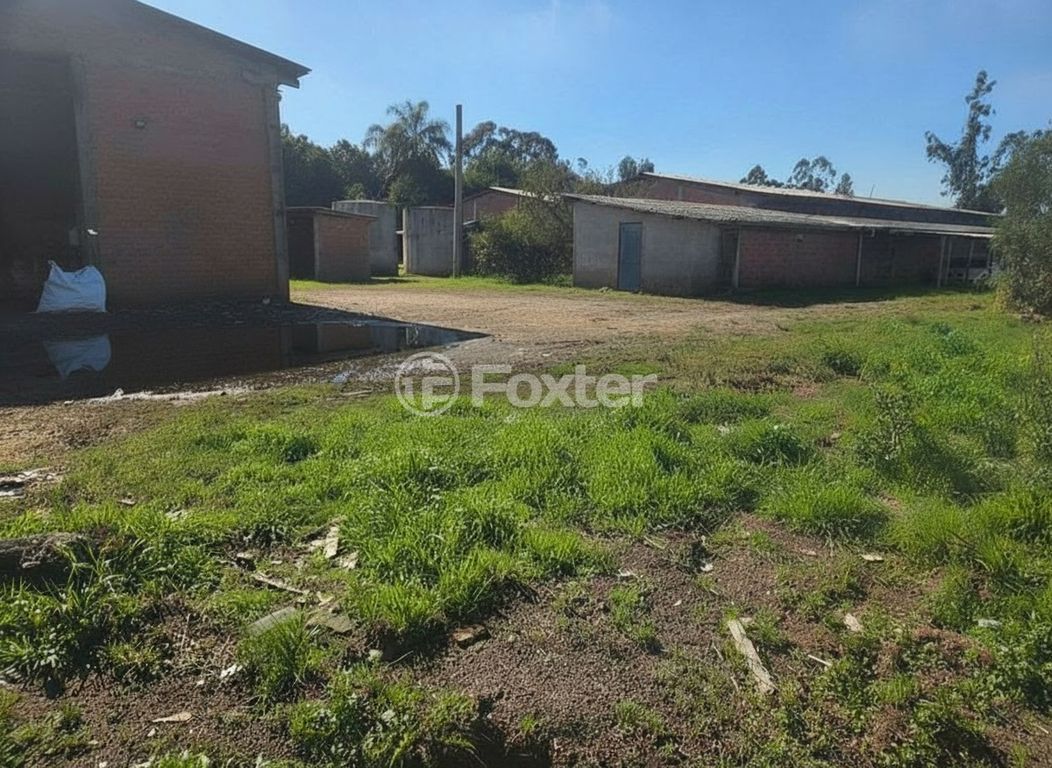 galpao deposito pavilhao para comprar em Frederico Augusto Ritter, 5900 - foto 18