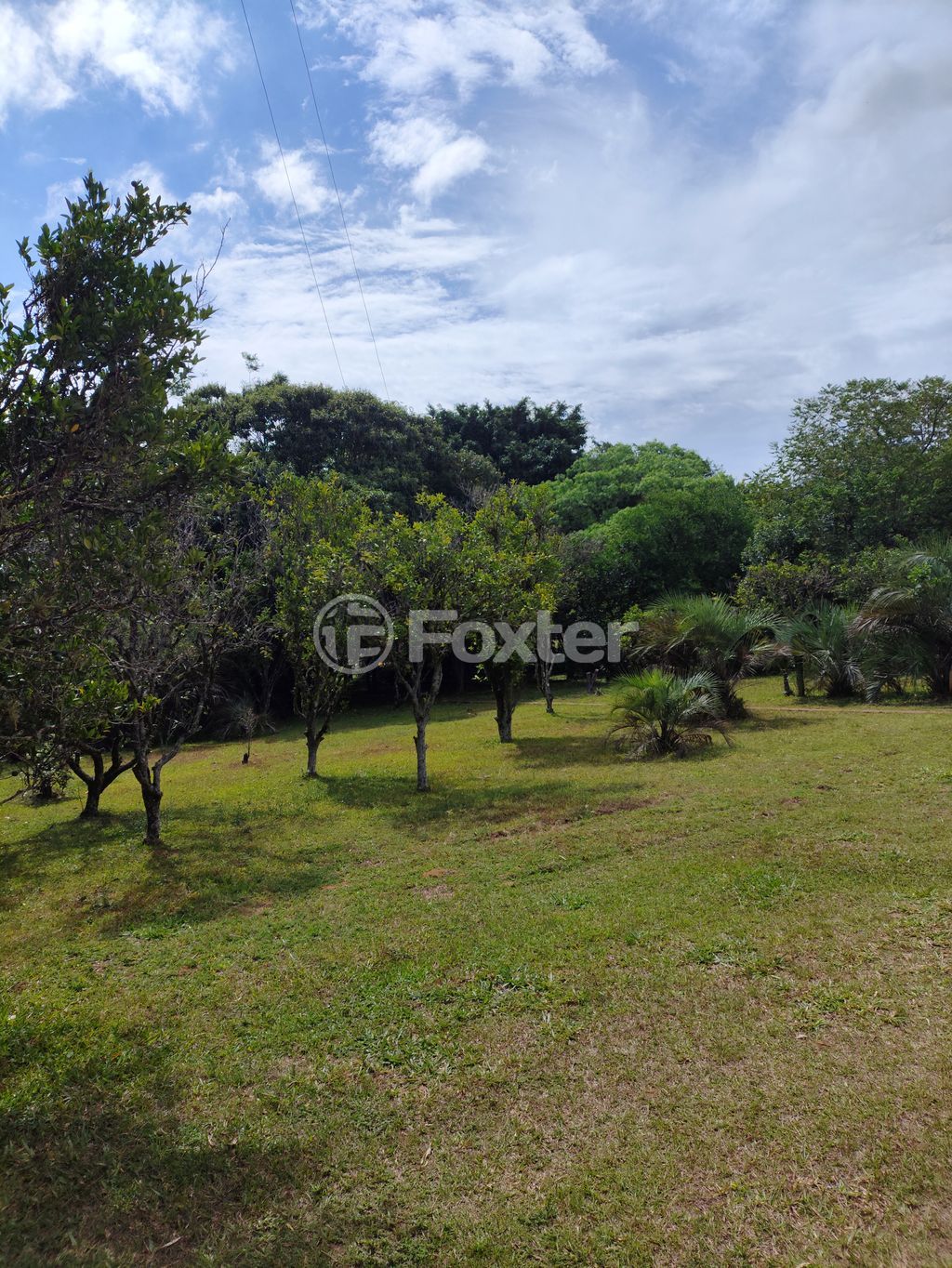 sitio chachara fazenda para comprar em Rancho Alegre, 91 - foto 33