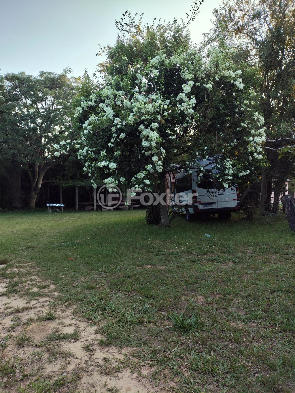 sitio chachara fazenda para comprar em Rancho Alegre, 91 - foto 35
