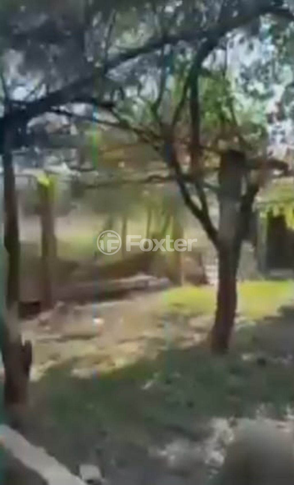 casa sobrado para comprar em Coronel Marcos de Andrade, 136 - foto 8