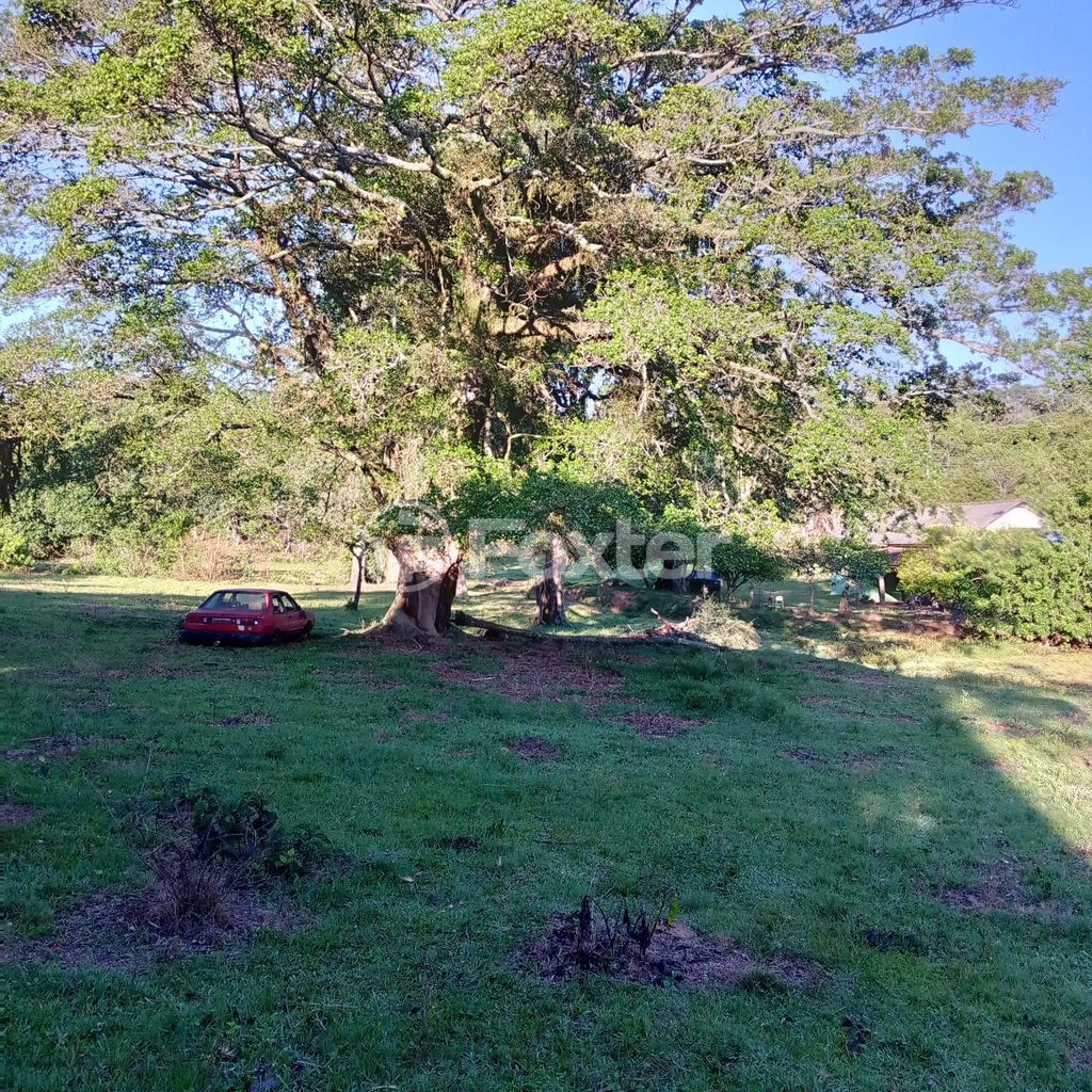 sitio chachara fazenda para comprar em Capitão Gentil Machado de Godoy, 5320 - foto 23
