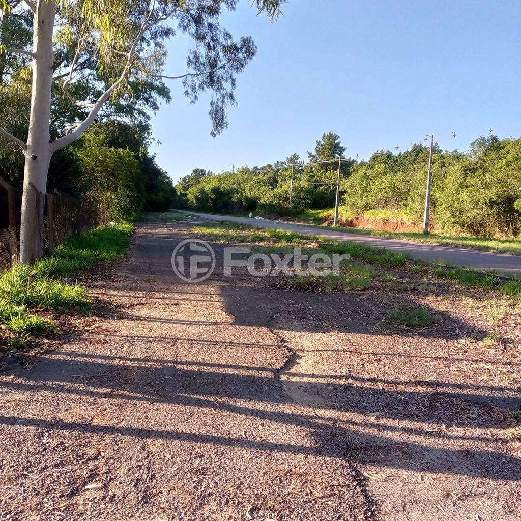 sitio chachara fazenda para comprar em Capitão Gentil Machado de Godoy, 5320 - foto 19