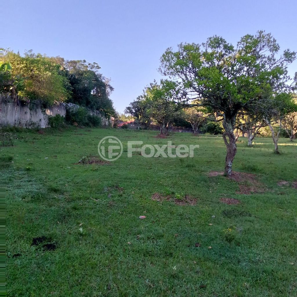 sitio chachara fazenda para comprar em Capitão Gentil Machado de Godoy, 5320 - foto 24