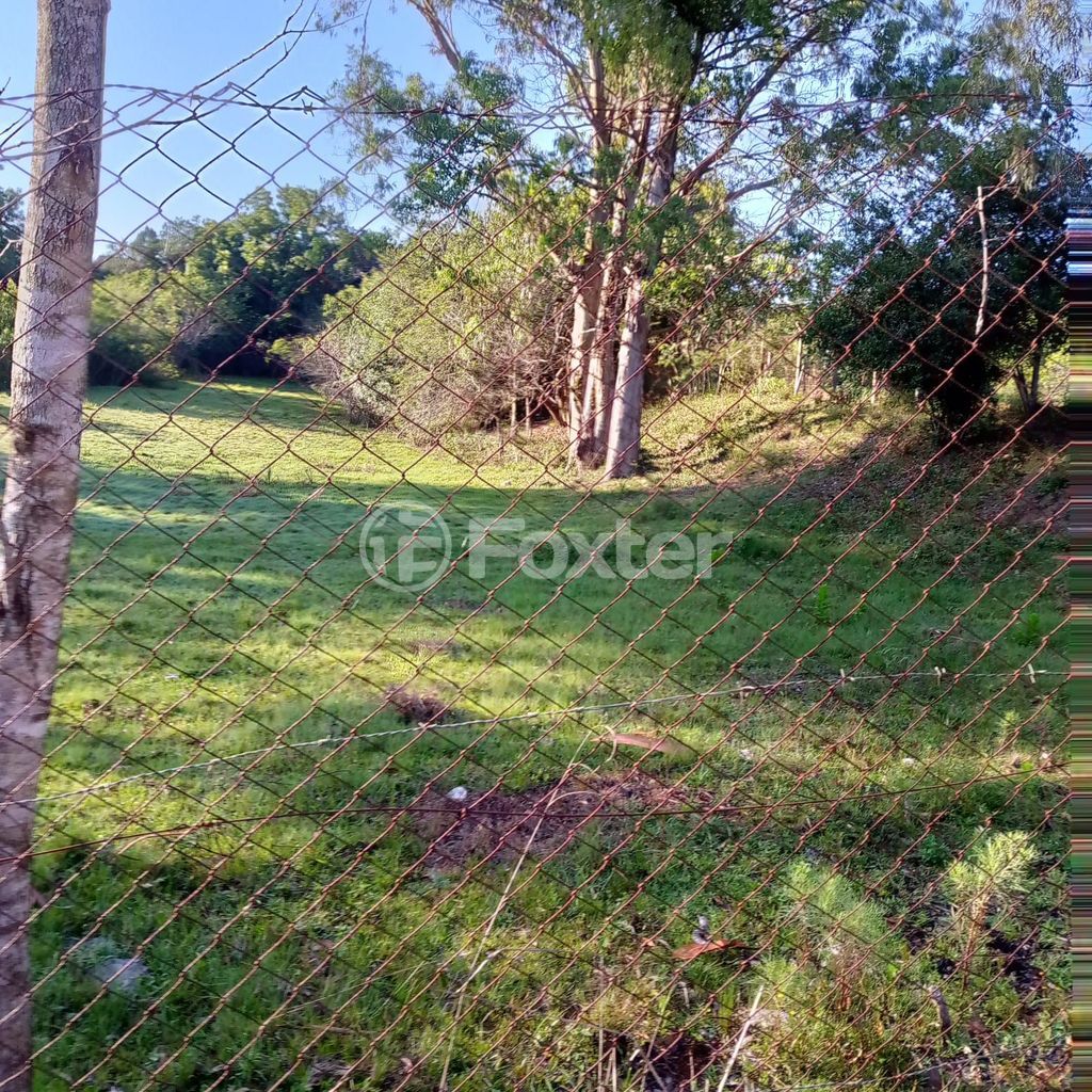 sitio chachara fazenda para comprar em Capitão Gentil Machado de Godoy, 5320 - foto 20