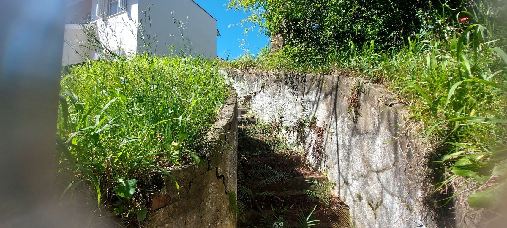 terreno lote condominio para comprar em Moema, 565 - foto 8