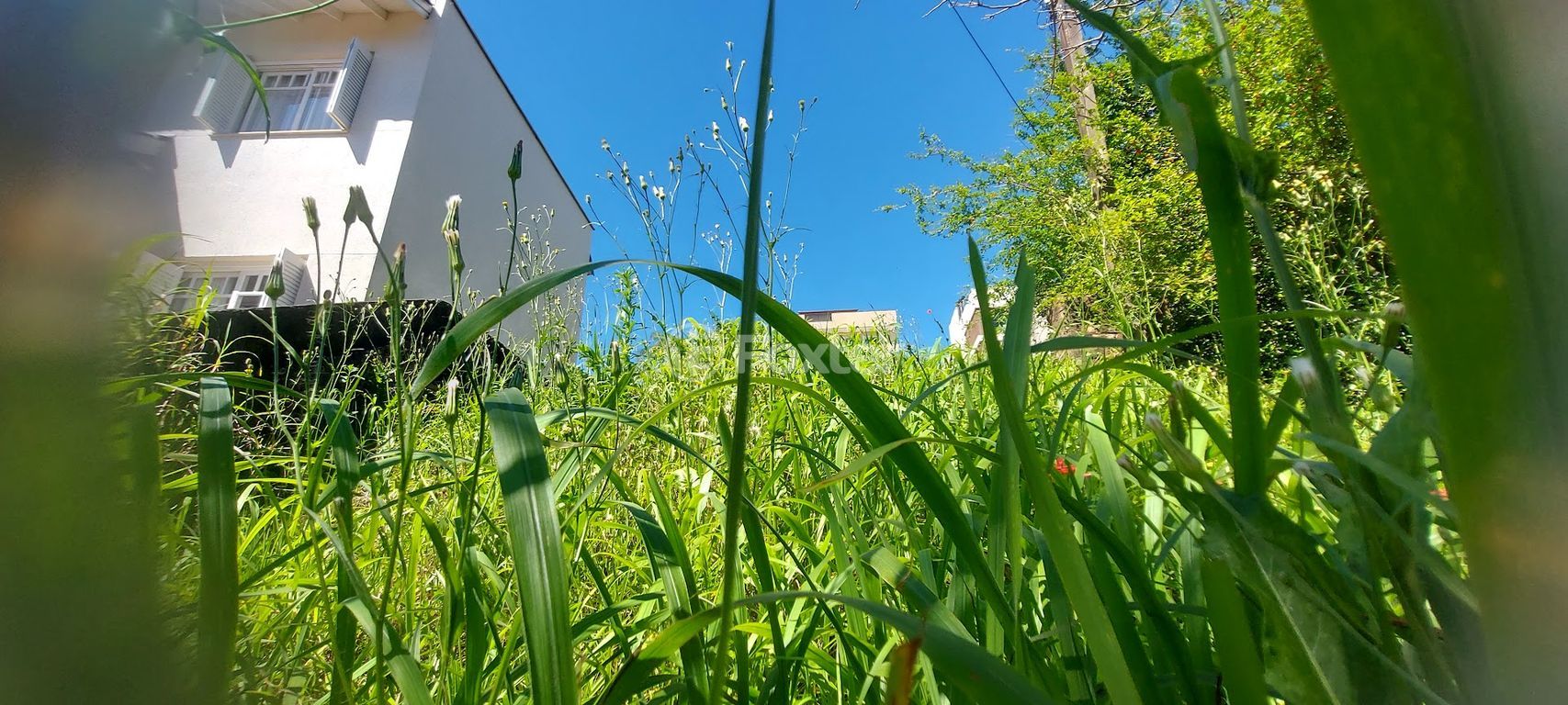 terreno lote condominio para comprar em Moema, 565 - foto 12