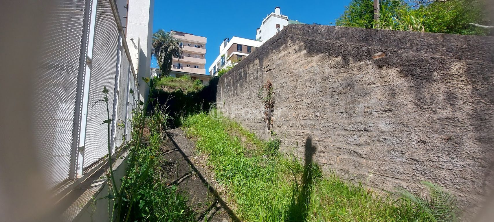 terreno lote condominio para comprar em Moema, 565 - foto 14