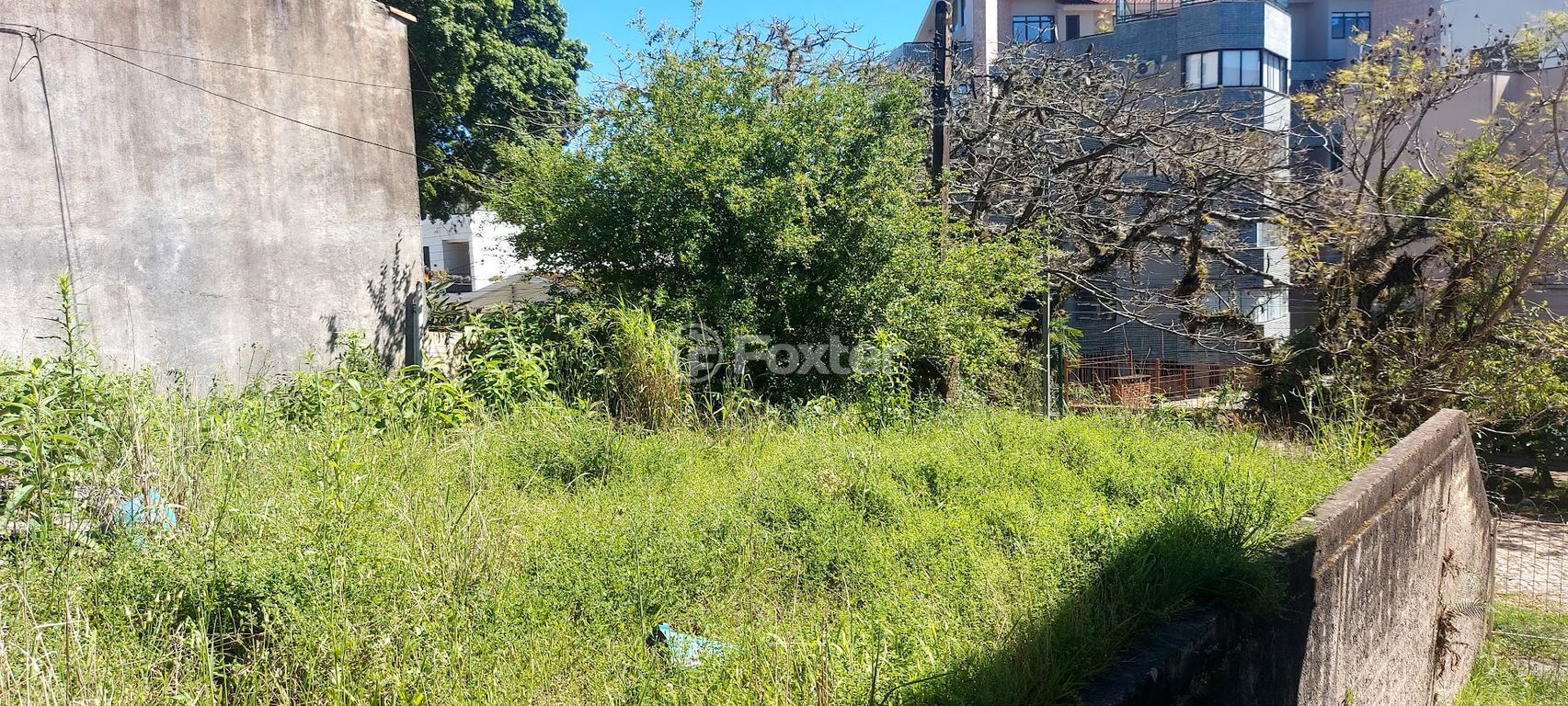 terreno lote condominio para comprar em Moema, 565 - foto 20