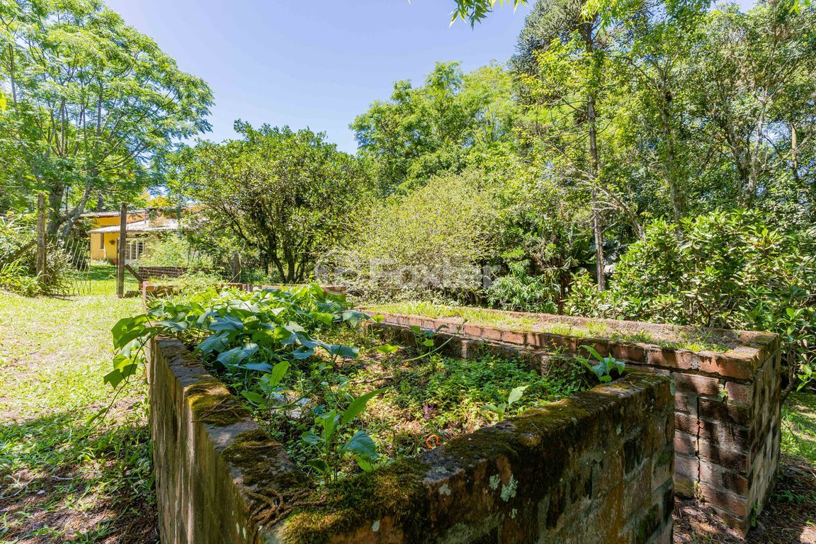 sitio chachara fazenda para comprar em Marechal Márciano Ávila, 399 - foto 103