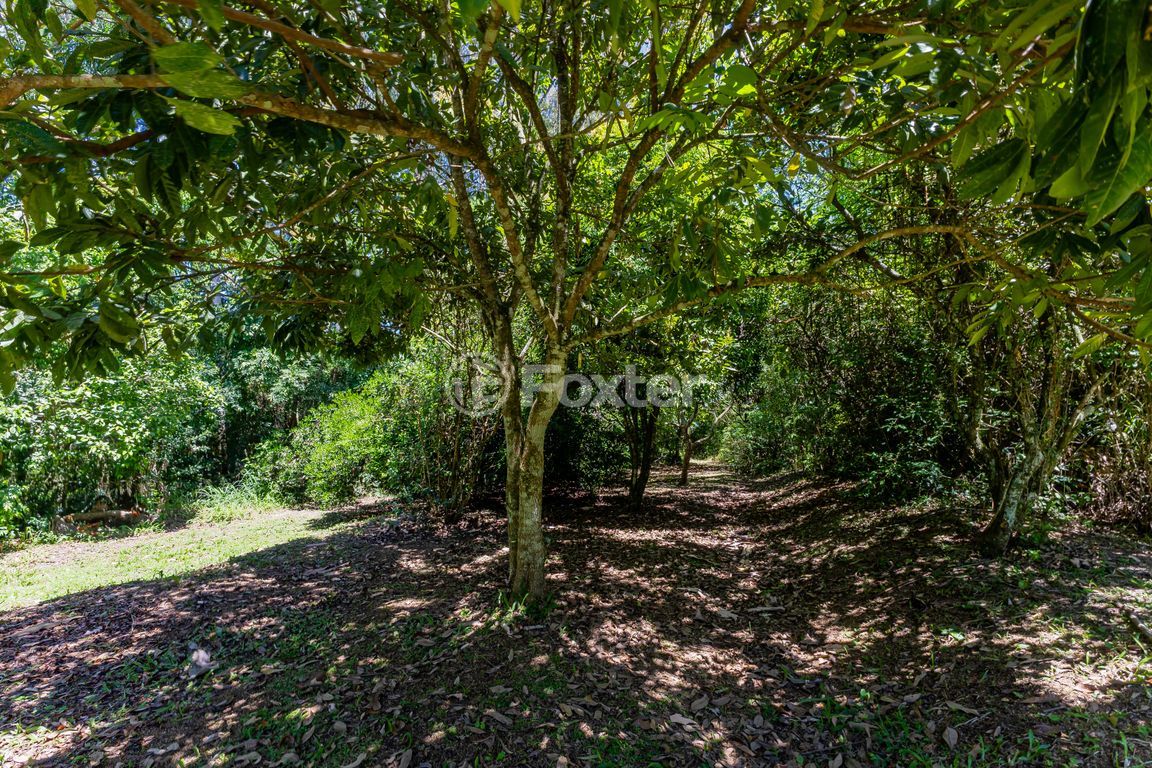sitio chachara fazenda para comprar em Marechal Márciano Ávila, 399 - foto 59