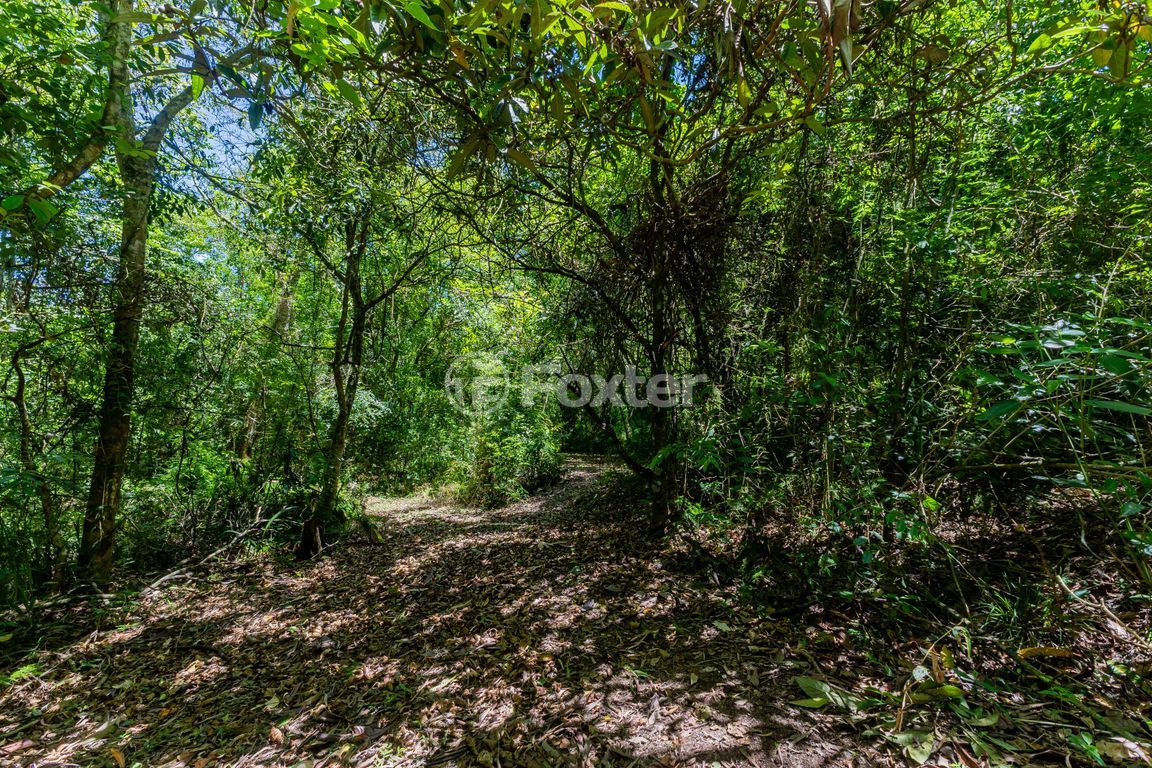 sitio chachara fazenda para comprar em Marechal Márciano Ávila, 399 - foto 100