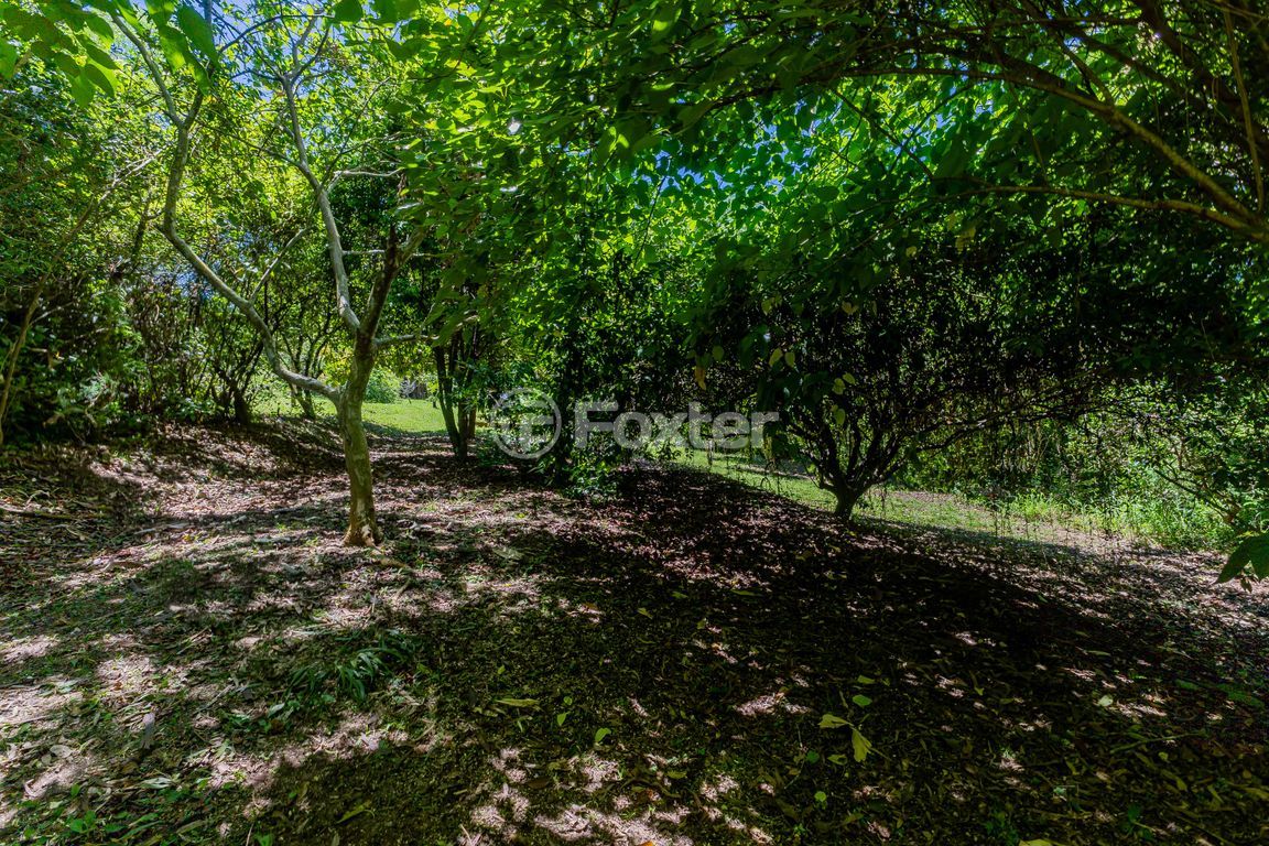 sitio chachara fazenda para comprar em Marechal Márciano Ávila, 399 - foto 102