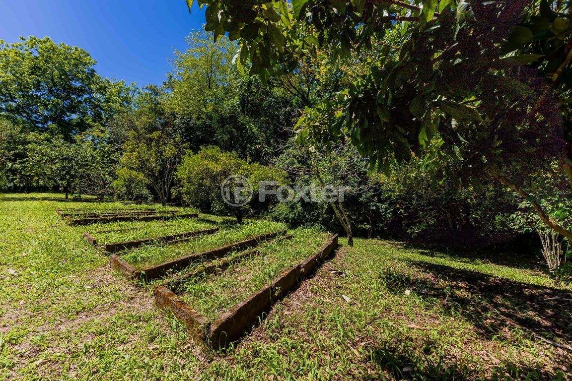 sitio chachara fazenda para comprar em Marechal Márciano Ávila, 399 - foto 60