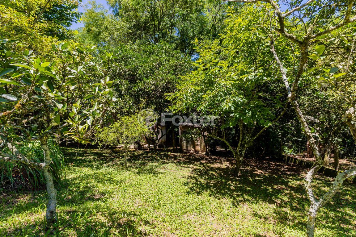 sitio chachara fazenda para comprar em Marechal Márciano Ávila, 399 - foto 105