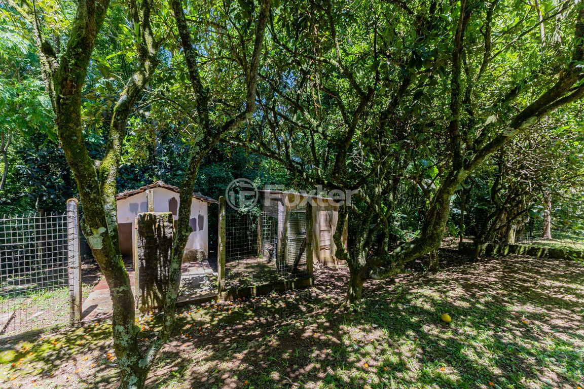 sitio chachara fazenda para comprar em Marechal Márciano Ávila, 399 - foto 94