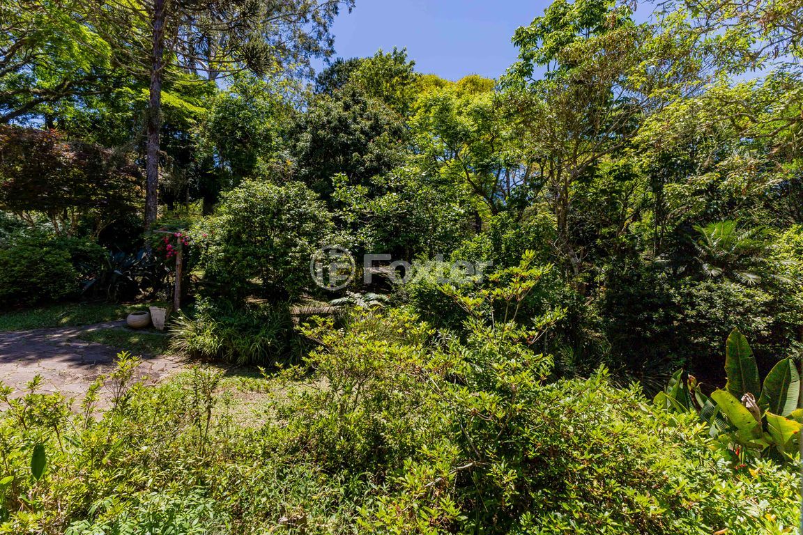 sitio chachara fazenda para comprar em Marechal Márciano Ávila, 399 - foto 72