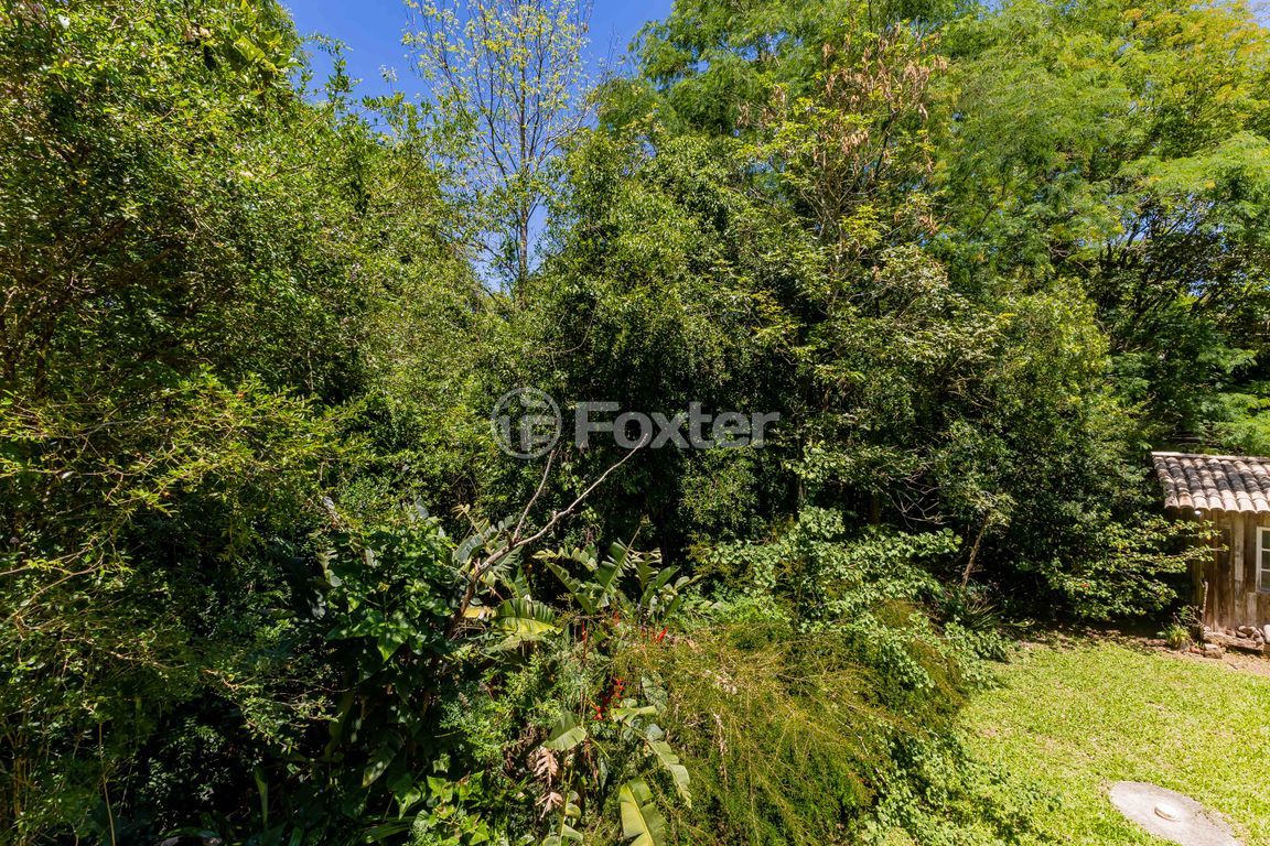 sitio chachara fazenda para comprar em Marechal Márciano Ávila, 399 - foto 49