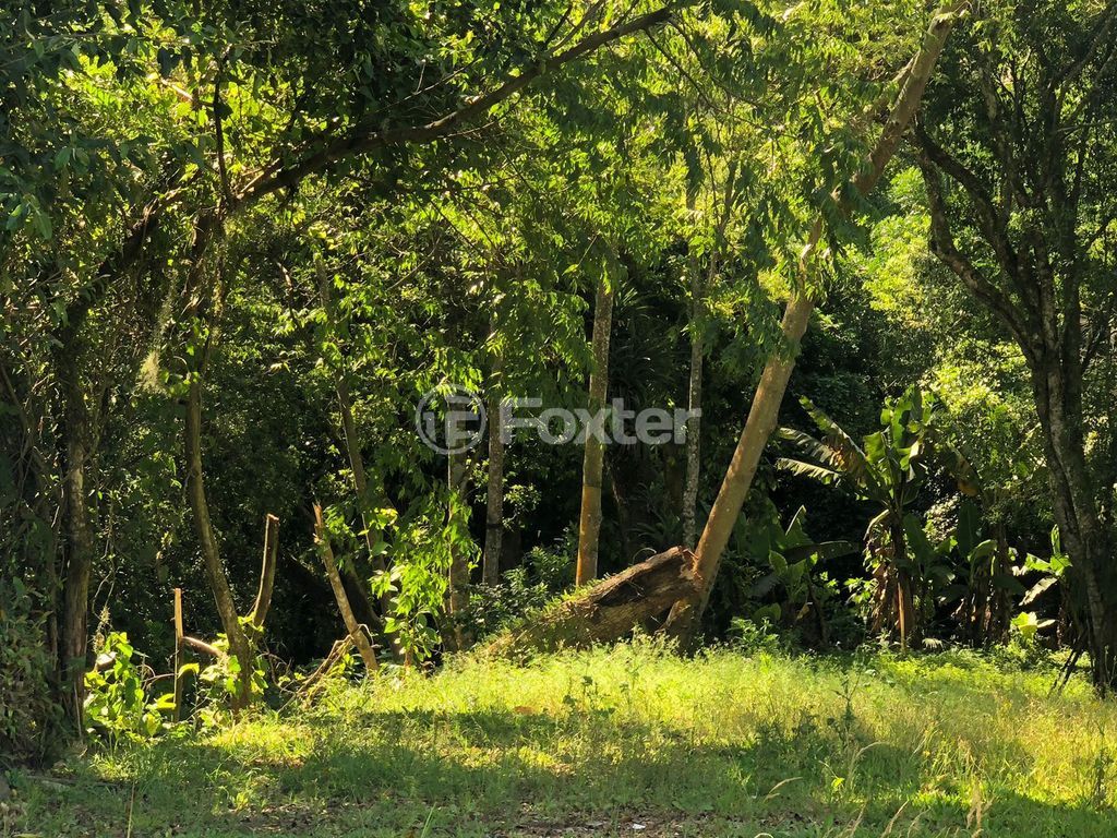 terreno lote condominio para comprar em Belém Velho, 3300 - foto 8